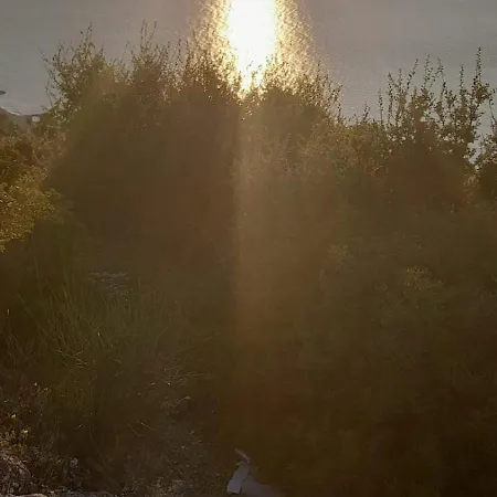 בית הארחה Sirena Vlorë